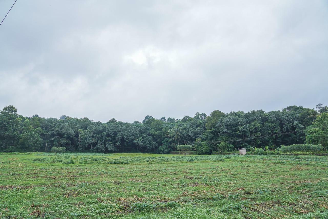 Thanal Premium Villa By - A Place To Call Your Home Muvattupuzha Extérieur photo